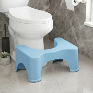 Toilet Commode Step Tool (স্কাই ব্লু)